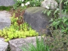 Groundcovers spill down a stone stairway in spring