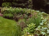 Perennial border featuring clematis trained on an iron tuteur